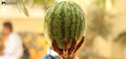 娱乐吃瓜为什么火,揭秘网络现象的火爆之谜